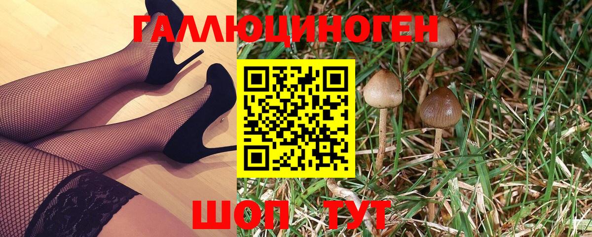 Псилоцибиновые грибы прущие грибы  Вход с VPN  Тейково 